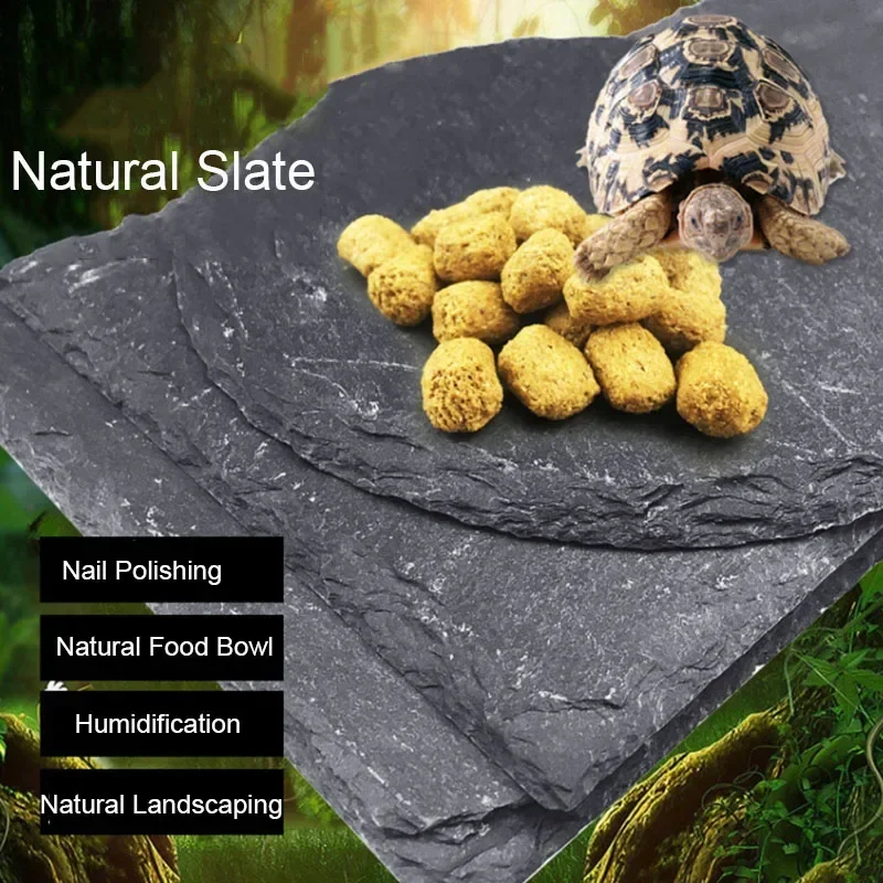 Aquarium Fish Background - Natural Slate Aquarium Pet rettile Feeder