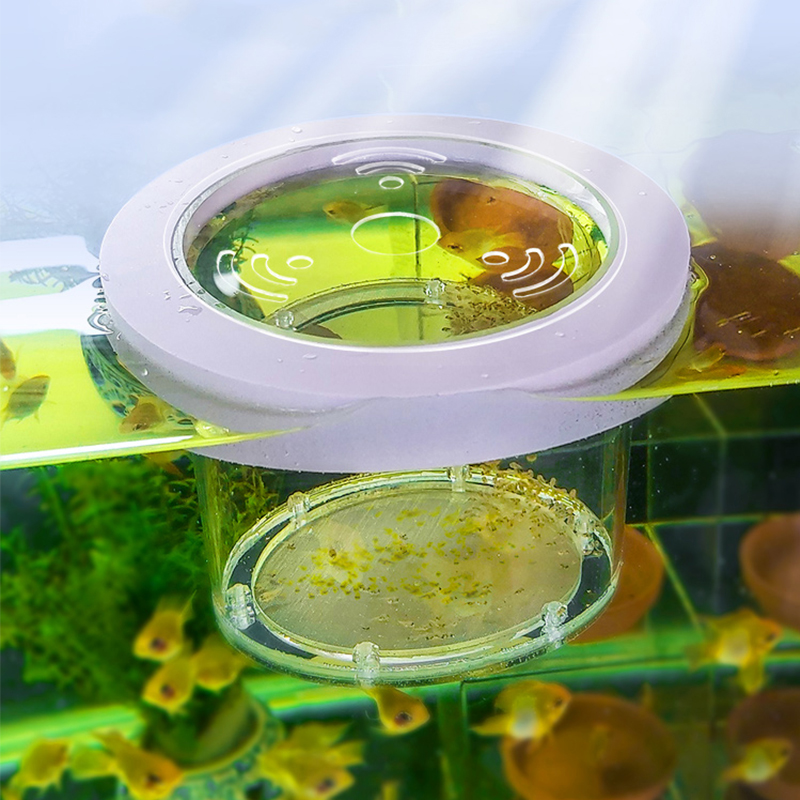 Aquarium Fish Jar - Scatola di isolamento per allevamento di