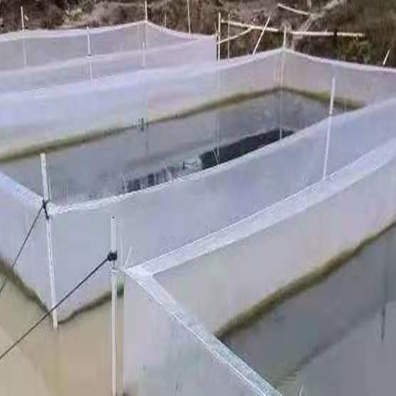 Aquarium Fish Net - Rete gabbia bianca anti-fuga per anguille,
