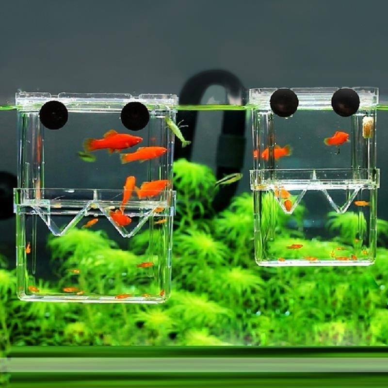 Aquarium Fish Background - Acquario per pesci multifunzionale Scatola di