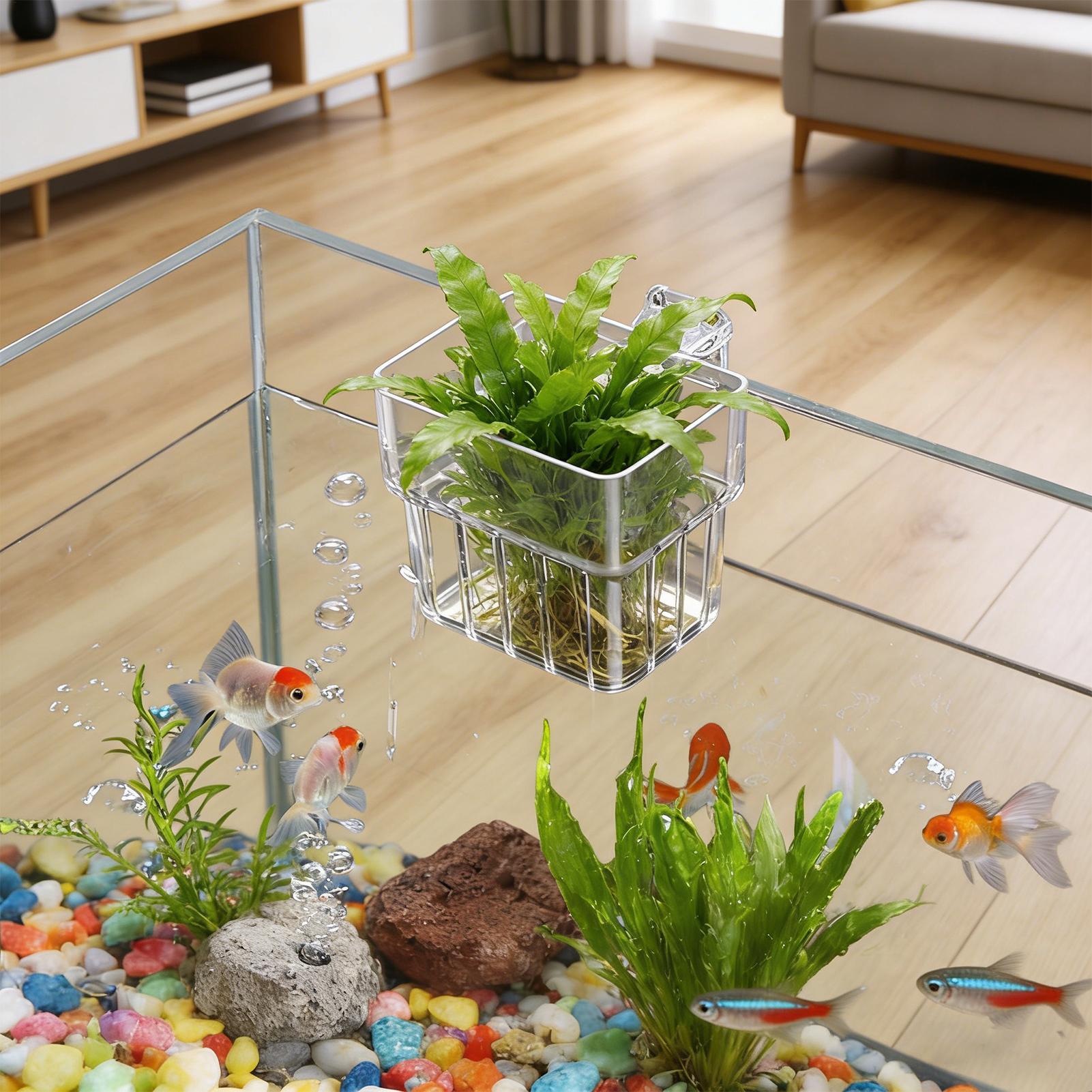 Aquarium Fish Store - Vaso Trasparente Appendibile per Piante d'Acquario,