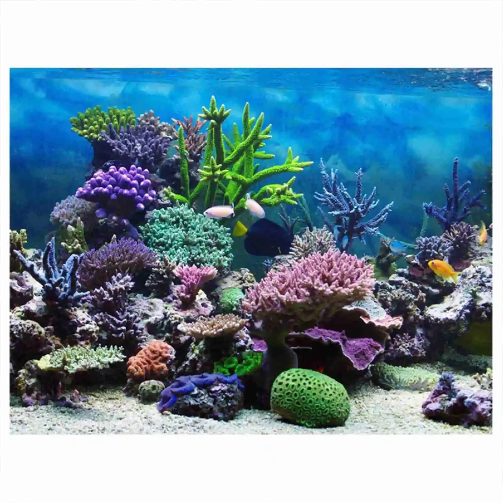 Aquarium Fish Background - 3D acquario paesaggio Poster foresta pluviale