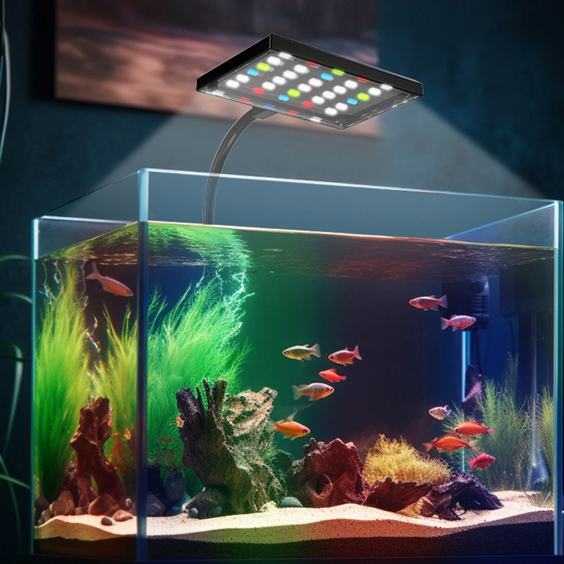 Lampada LED USB per Acquario a - Aquarium Fish Store recensione e prezzo