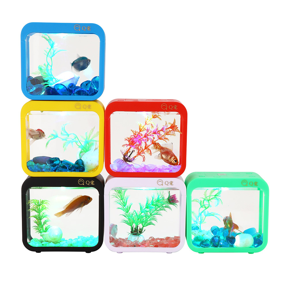 Scatola Betta creativa colorat - Aquarium Fish Jar recensione e prezzo