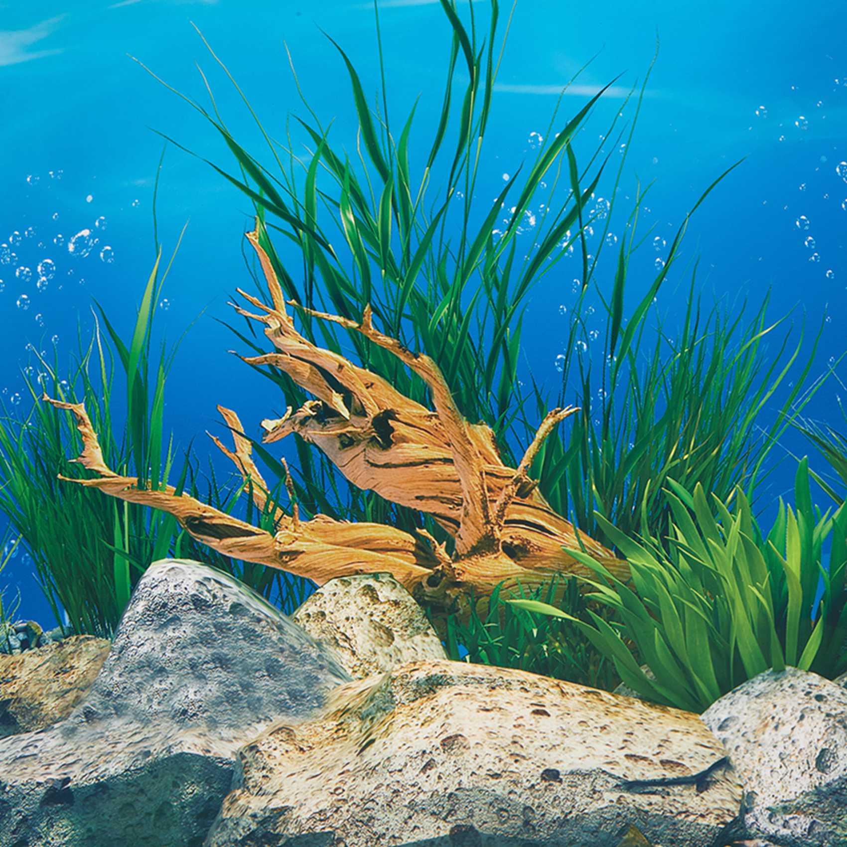 AB33-Acquario Sfondo Carta Imm - Aquarium Fish Wallpaper Hd recensione e prezzo