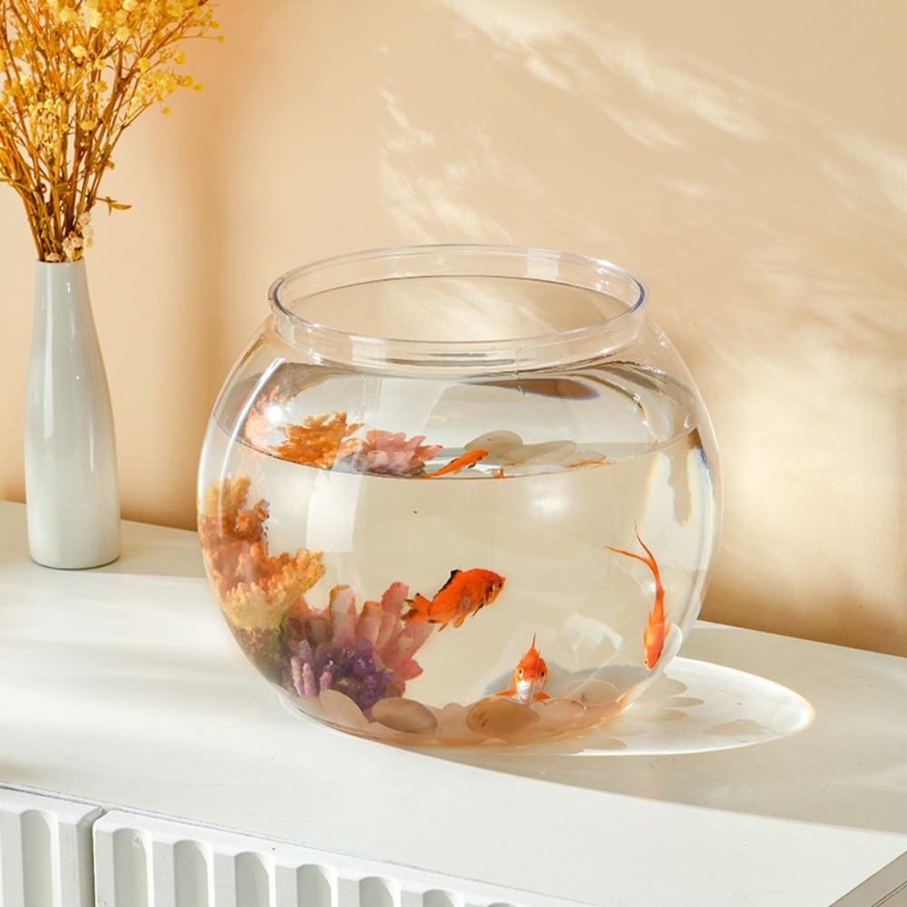 Acquario da tavolo rotondo tra - Aquarium Fish Jar recensione e prezzo