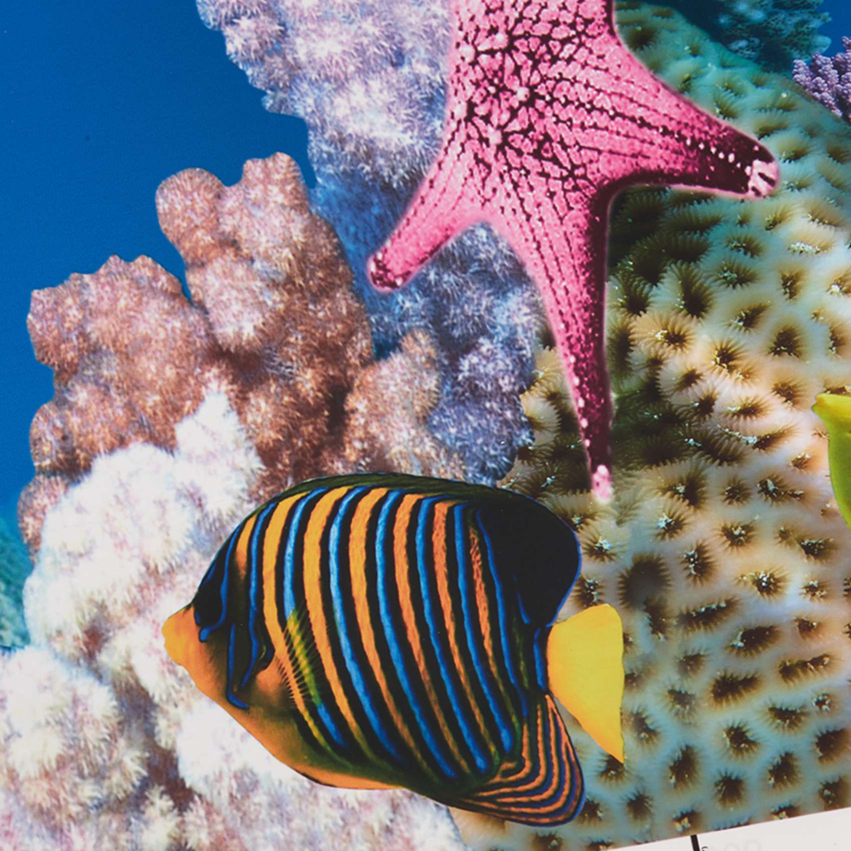 Carta da Parati per Acquario A - Aquarium Fish Wallpaper Hd recensione e prezzo