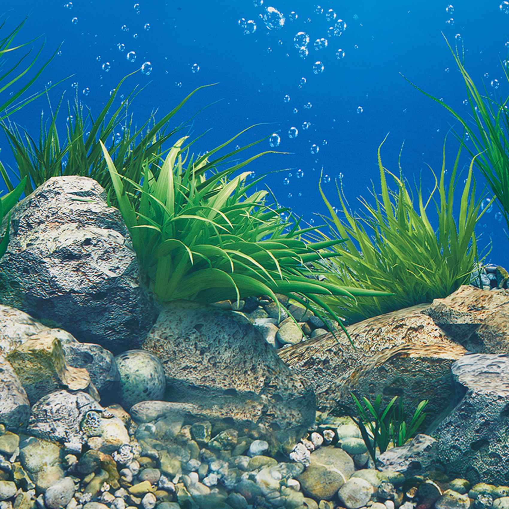 Carta da Parati per Acquario A - Aquarium Fish Wallpaper Hd recensione e prezzo