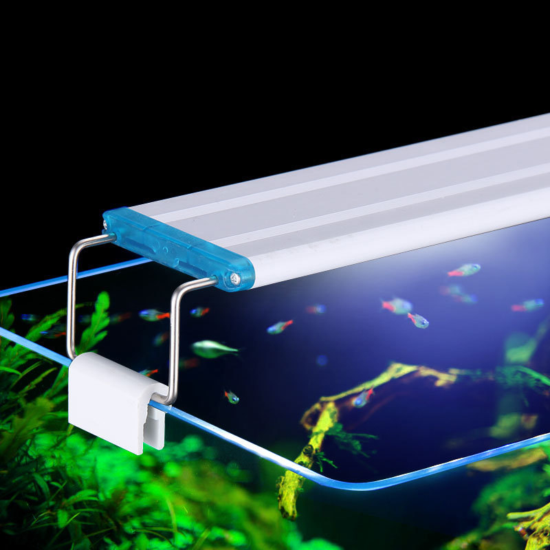 Clip impermeabile estensibile  - Aquarium Fish Store recensione e prezzo