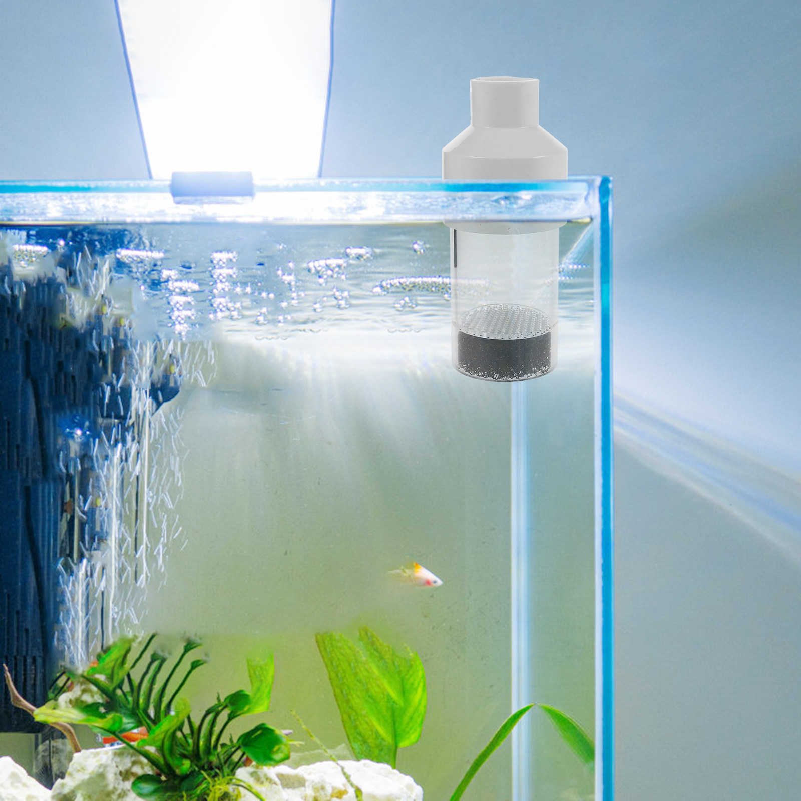 Incubatrice per Piscicoltura 5 - Aquarium Fishes recensione e prezzo