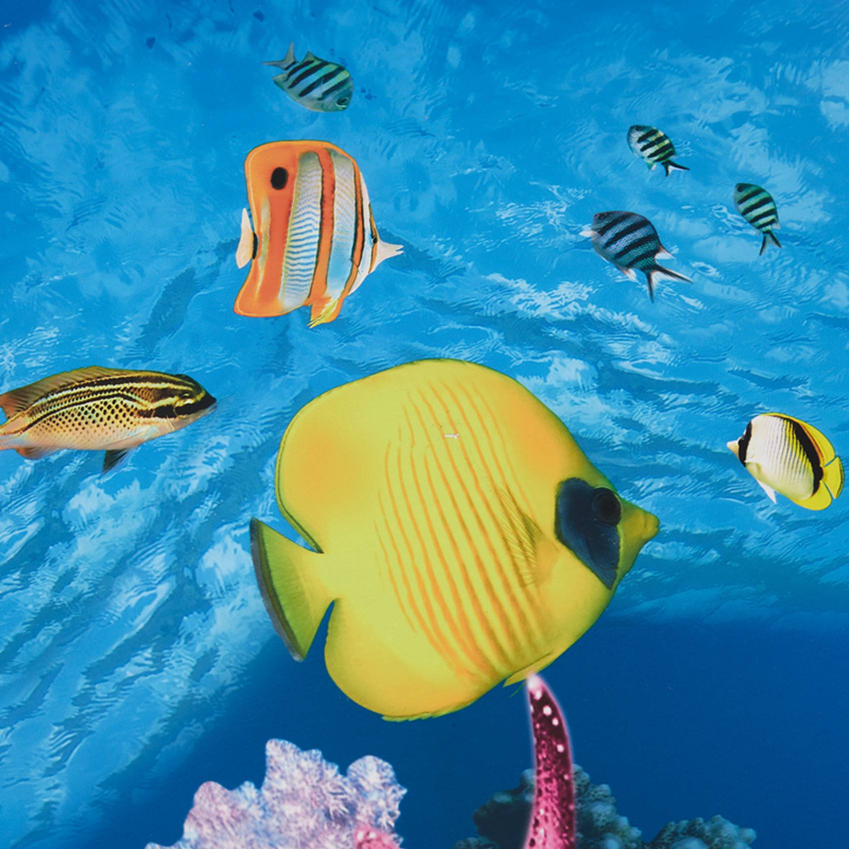 A77I Acquario Sfondo Carta Imm - Aquarium Fish Wallpaper Hd recensione e prezzo