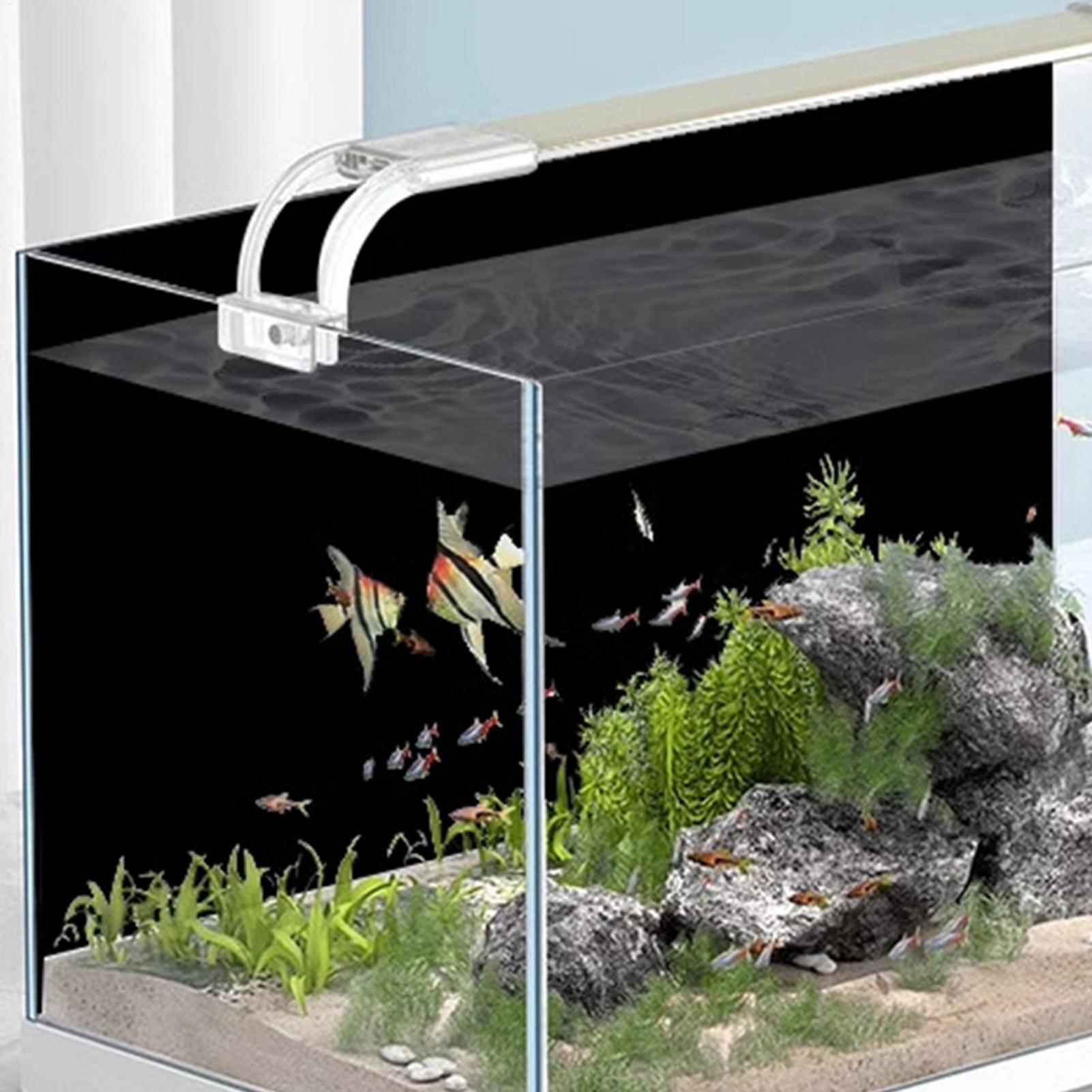 Sfondo Nero per Acquario in PV - Aquarium Fish Background recensione e prezzo