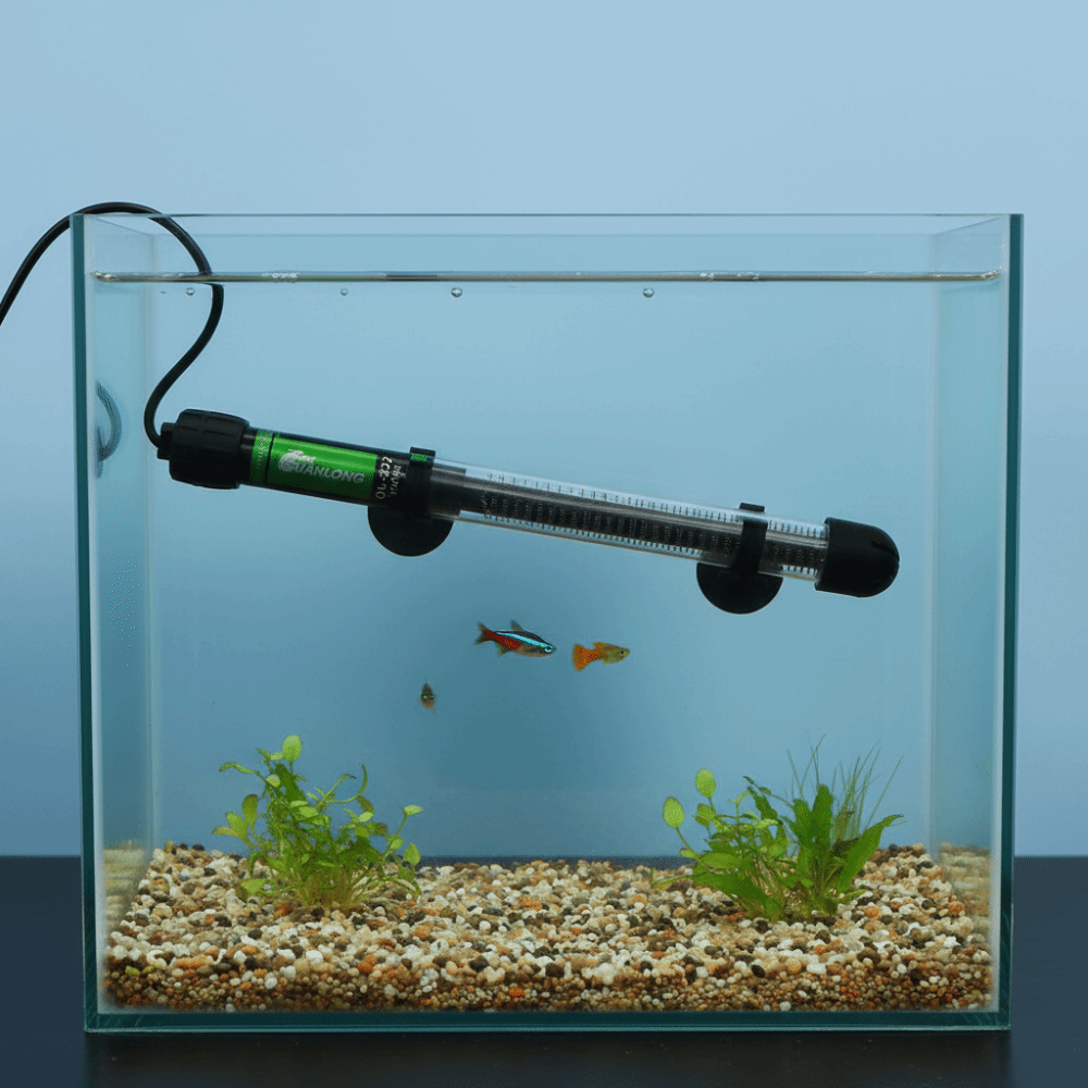 Riscaldatore Sommergibile per  - Aquarium Heater Submersible recensione e prezzo