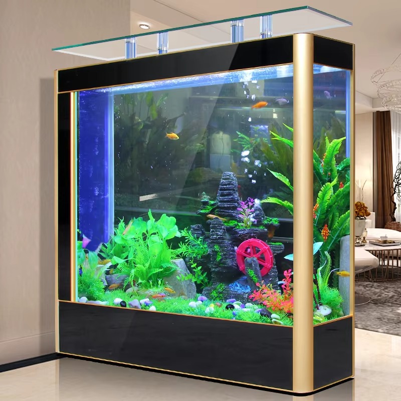 Acquario a Colonna Alta 2026,  - Aquarium Fish High Price recensione e prezzo