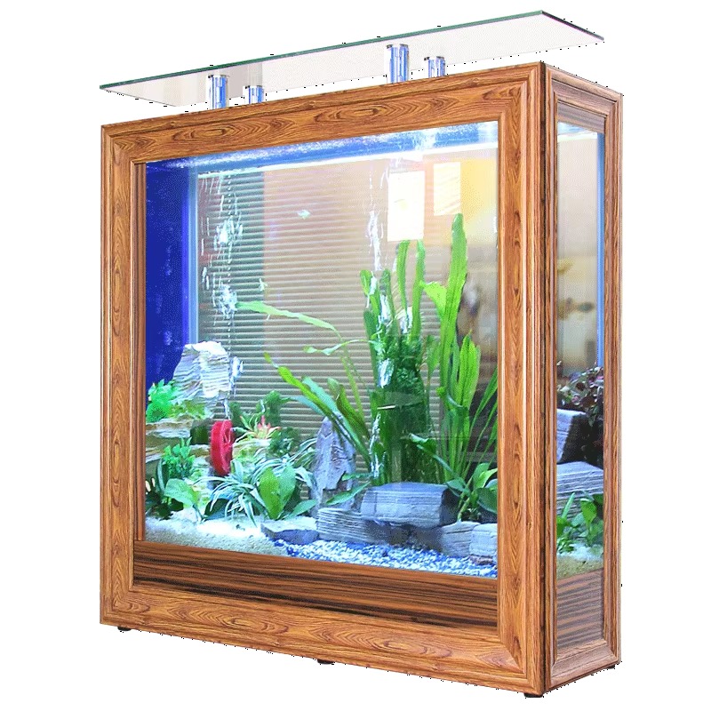 Acquario a Colonna Alta 2026,  - Aquarium Fish High Price recensione e prezzo