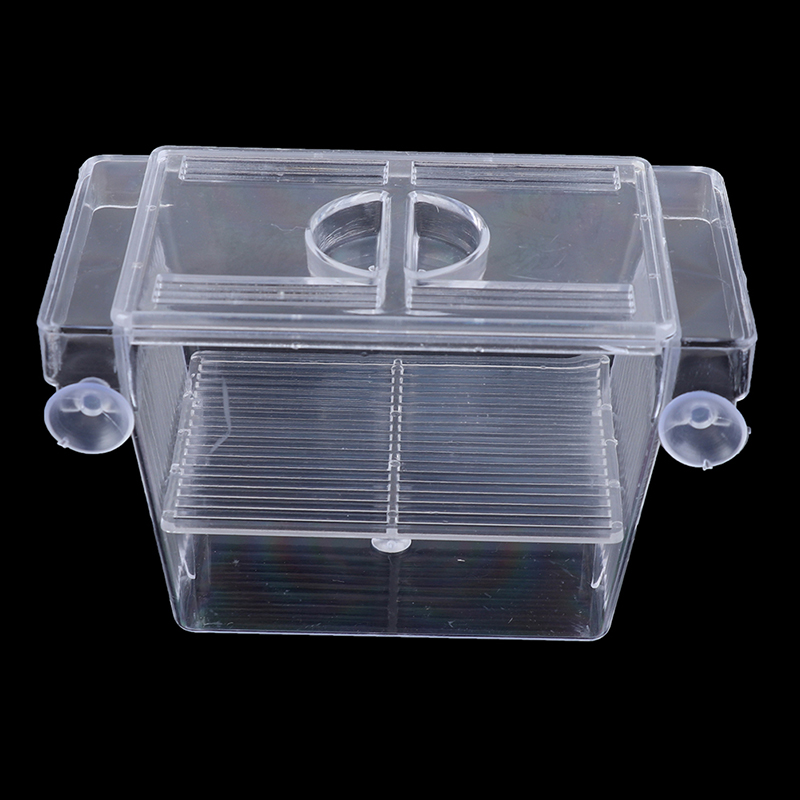 Acquario acquario acquario Gup - Aquarium Fish Jar recensione e prezzo