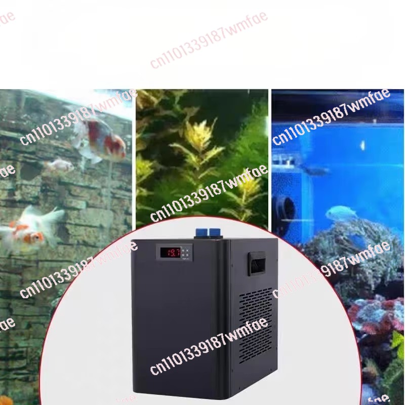 Sistema di raffreddamento a te - Aquarium Fish Black recensione e prezzo