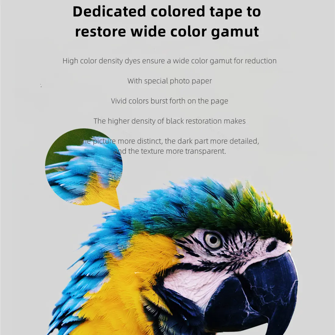 Stampante fotografica MIjia co - Aquarium Xiaomi recensione e prezzo