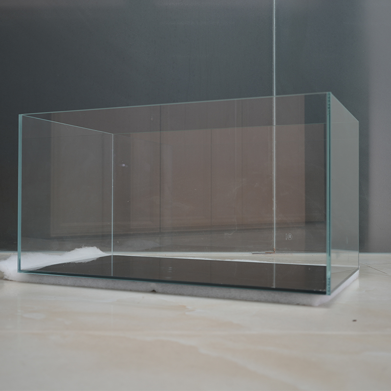 Accessori per acquari, prezzo  - Aquarium Fish High Price recensione e prezzo
