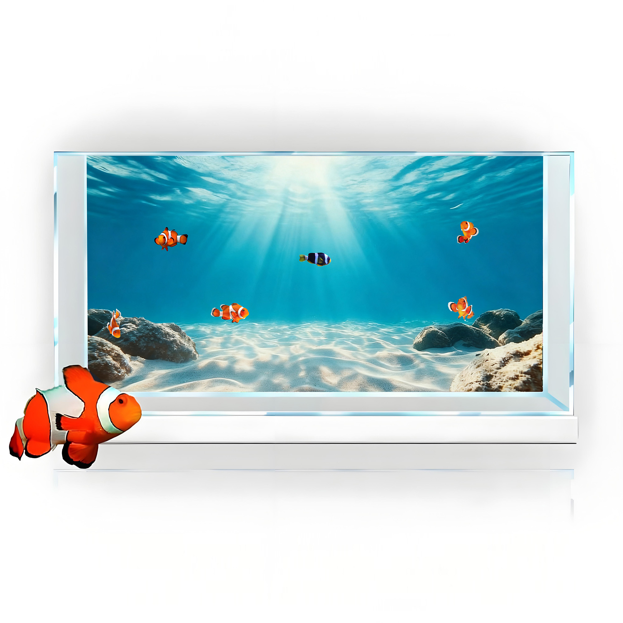 Sabbia Blu Trasparente, Decora - Aquarium Fish Background recensione e prezzo