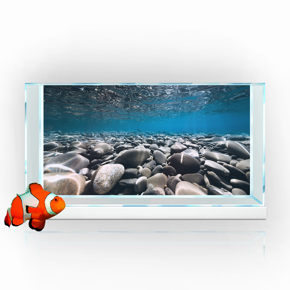 Adesivo di sfondo dell'acquari - Aquarium Fish Wallpaper Hd recensione e prezzo