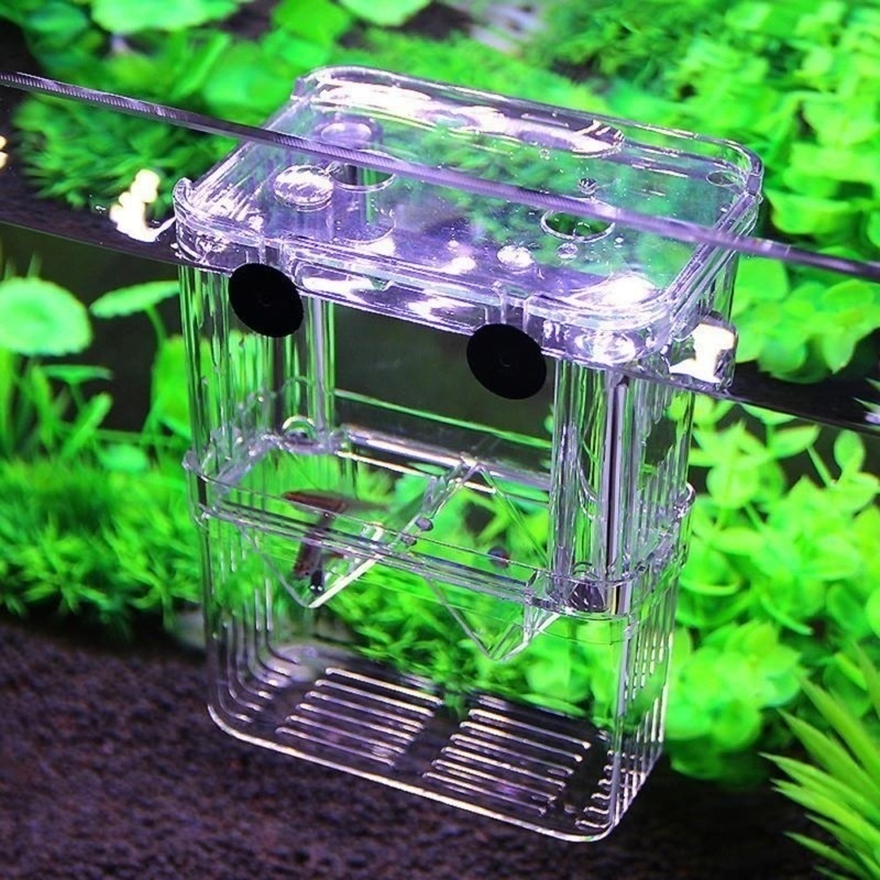 Acquario per pesci multifunzio - Aquarium Fish Background recensione e prezzo