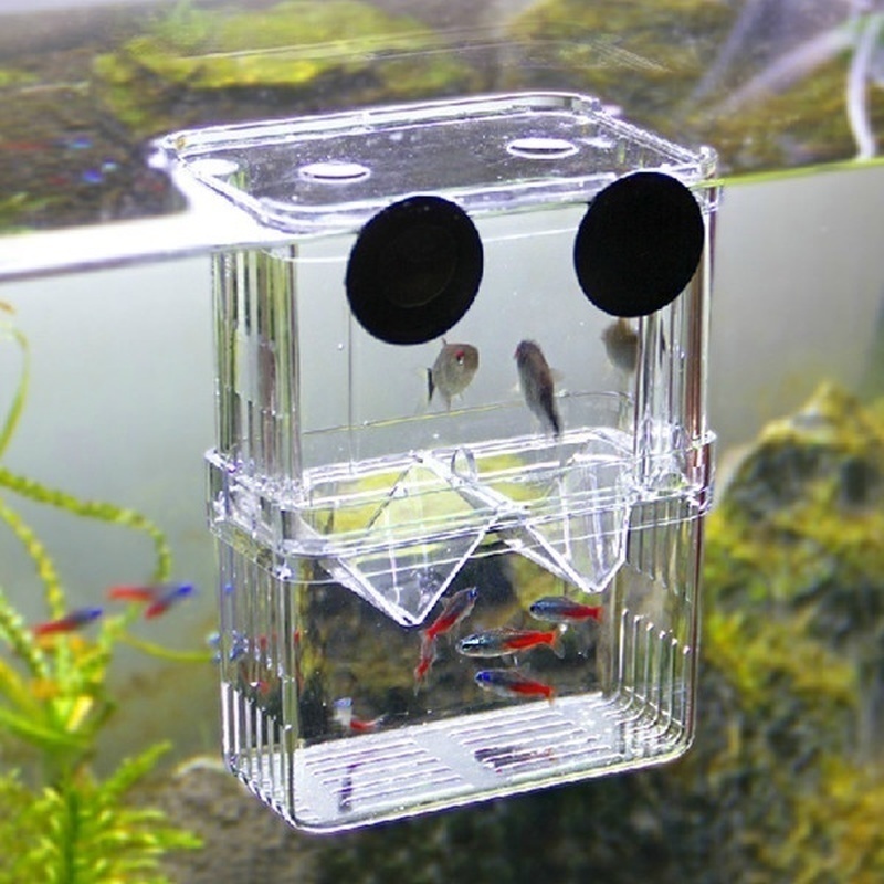 Acquario per pesci multifunzio - Aquarium Fish Background recensione e prezzo
