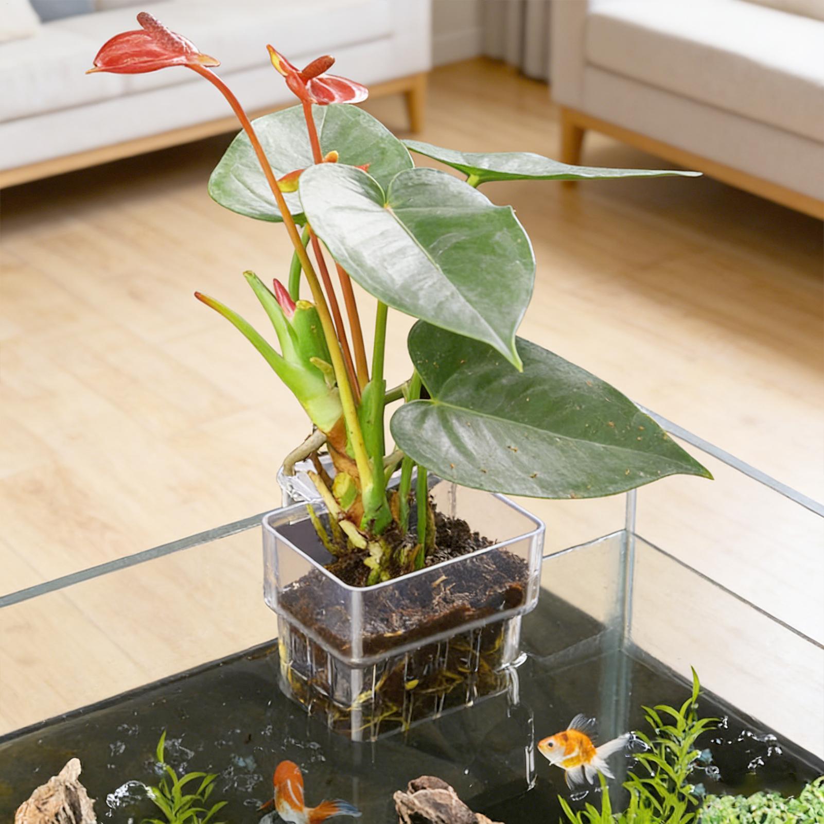 Vaso Trasparente Appendibile p - Aquarium Fish Store recensione e prezzo
