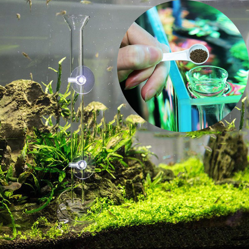 Mangiatoia per acquario in vet - Aquarium Fish Jar recensione e prezzo