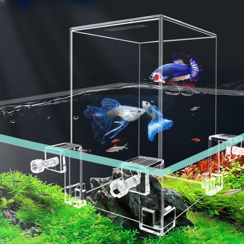 Serbatoi per acquari creativi  - Aquarium Fish Jar recensione e prezzo