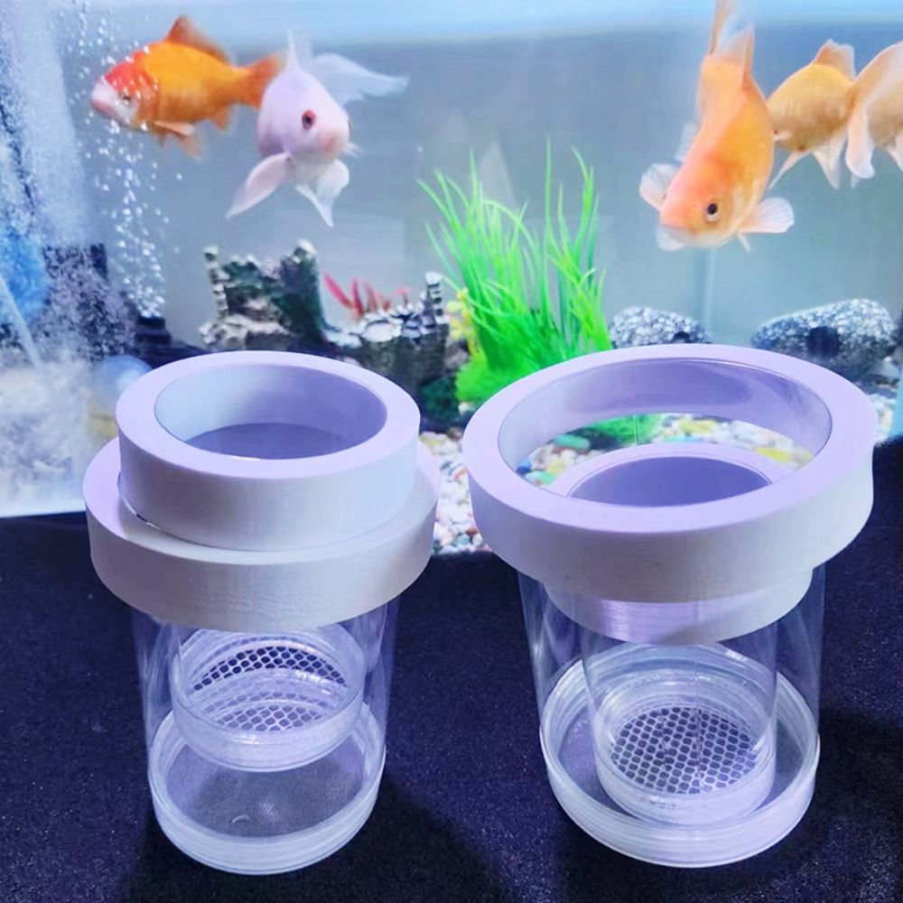 Scatola di isolamento per alle - Aquarium Fish Jar recensione e prezzo