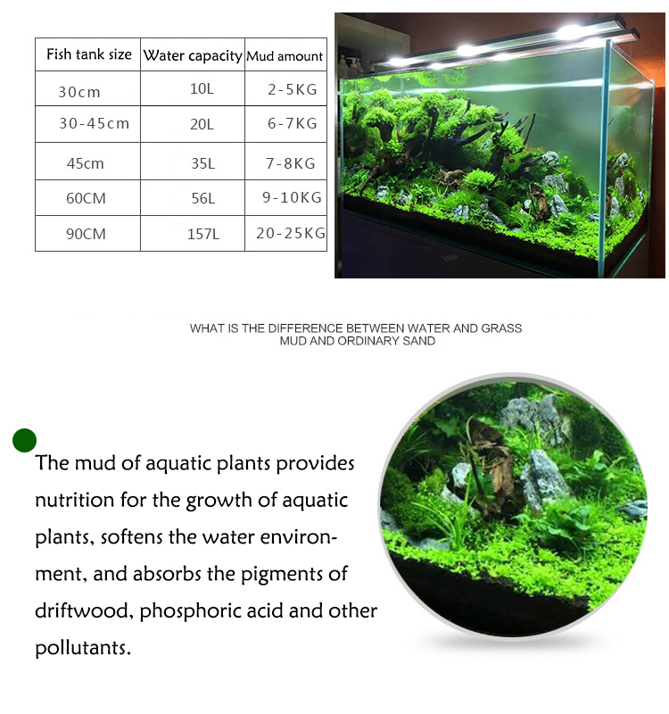 Acquario semi di piante terren - Aquarium Fish Quarantine recensione e prezzo