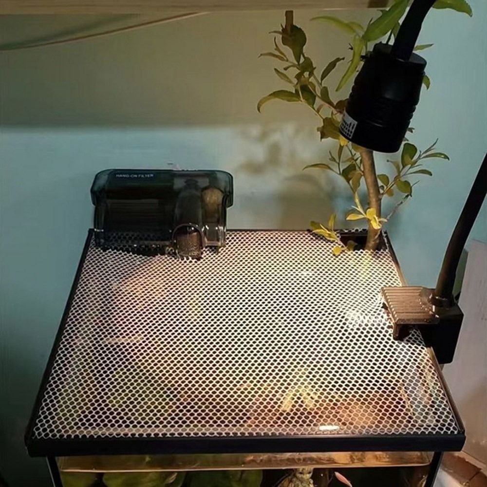 Coperchio Magnetico Durevole p - Aquarium Fish Net recensione e prezzo