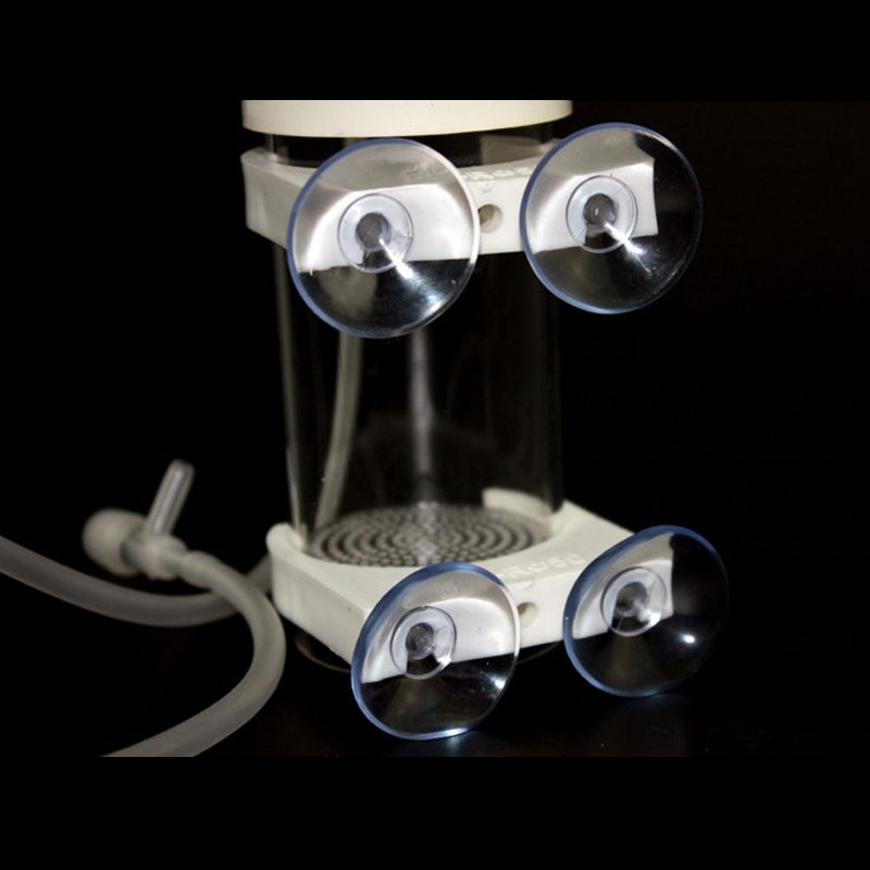 Incubatrice per Uova di Ciclid - Aquarium Fishes recensione e prezzo