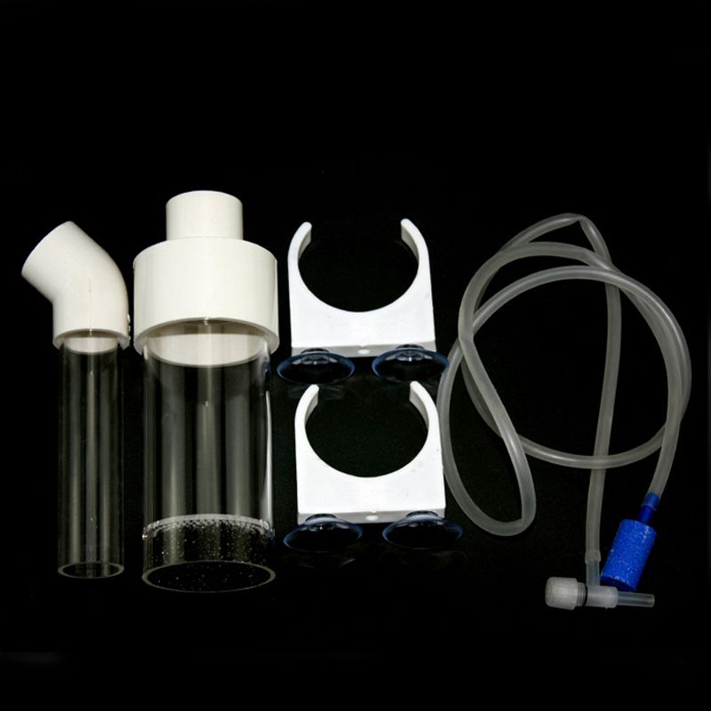 Incubatrice per Uova di Ciclid - Aquarium Fishes recensione e prezzo