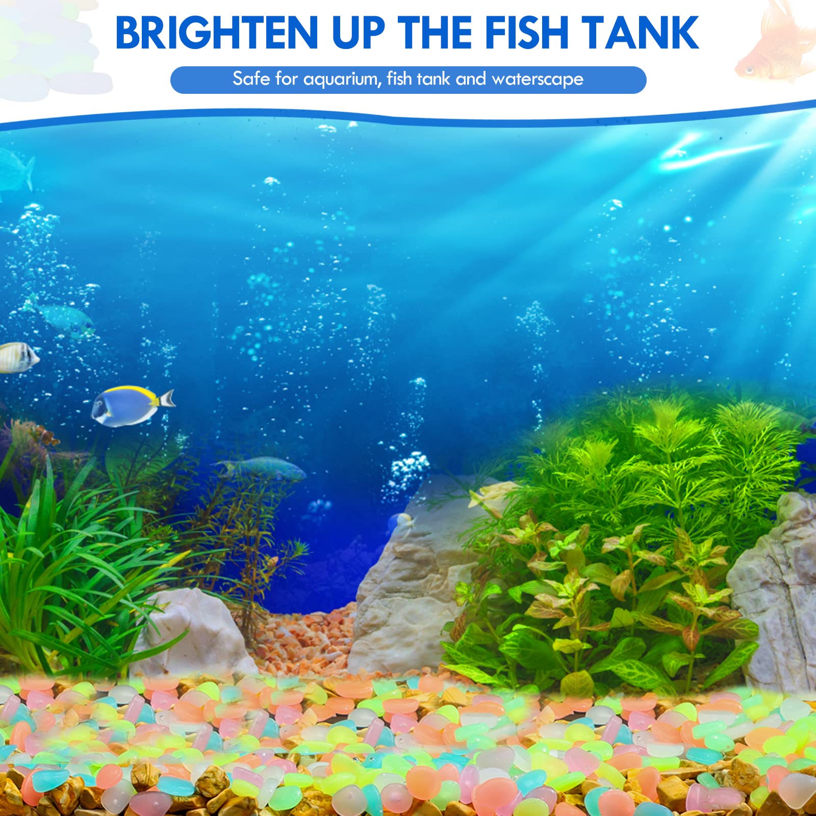 100 pezzi che si illuminano al - Aquarium Fish Store recensione e prezzo