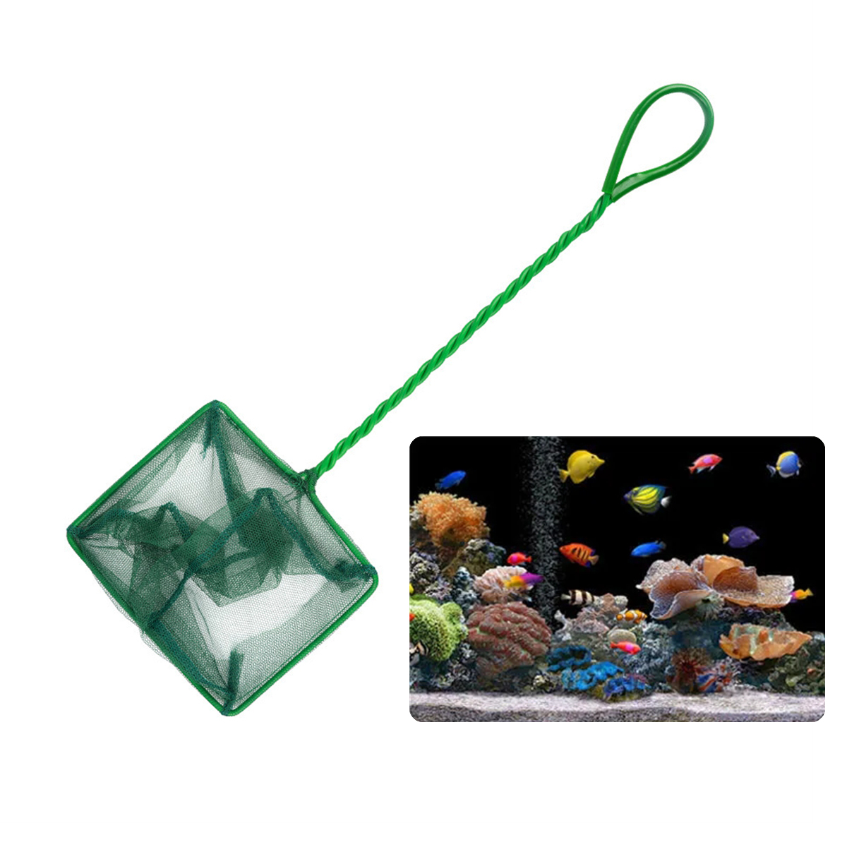 3 ~ 10 pollici portatile in ny - Aquarium Fish Net recensione e prezzo