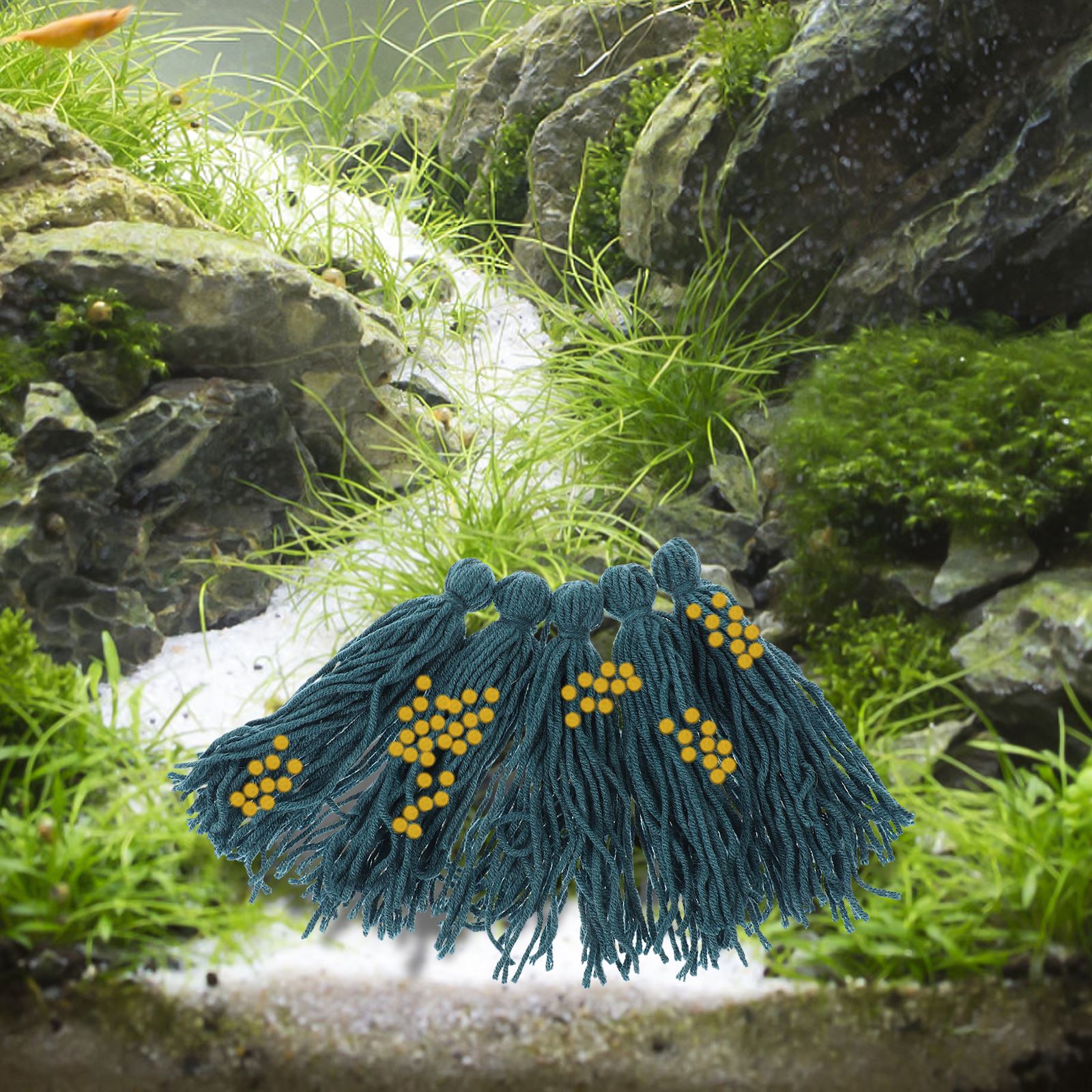 5Pcs incubatoio Mop per la dep - Aquarium Fish Background recensione e prezzo