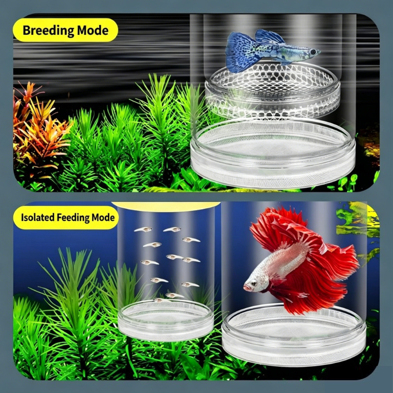 Scatola Trasparente Galleggian - Aquarium Fish Jar recensione e prezzo