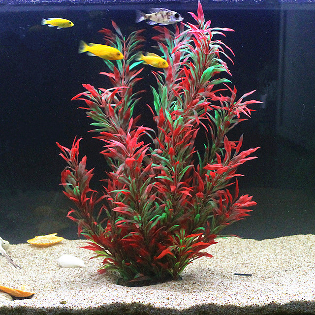 50CM Acquario artificiale Pian - Aquarium Fish Quarantine recensione e prezzo