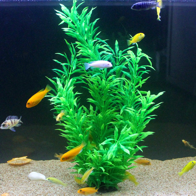 50CM Acquario artificiale Pian - Aquarium Fish Quarantine recensione e prezzo