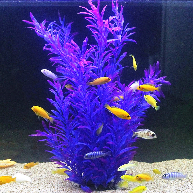 50CM Acquario artificiale Pian - Aquarium Fish Quarantine recensione e prezzo