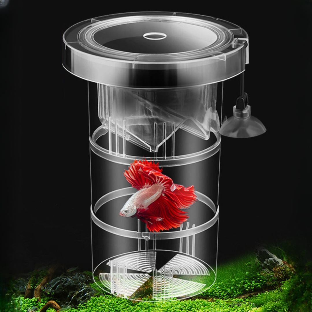 Acrilico Galleggiante Allevame - Aquarium Fish Jar recensione e prezzo