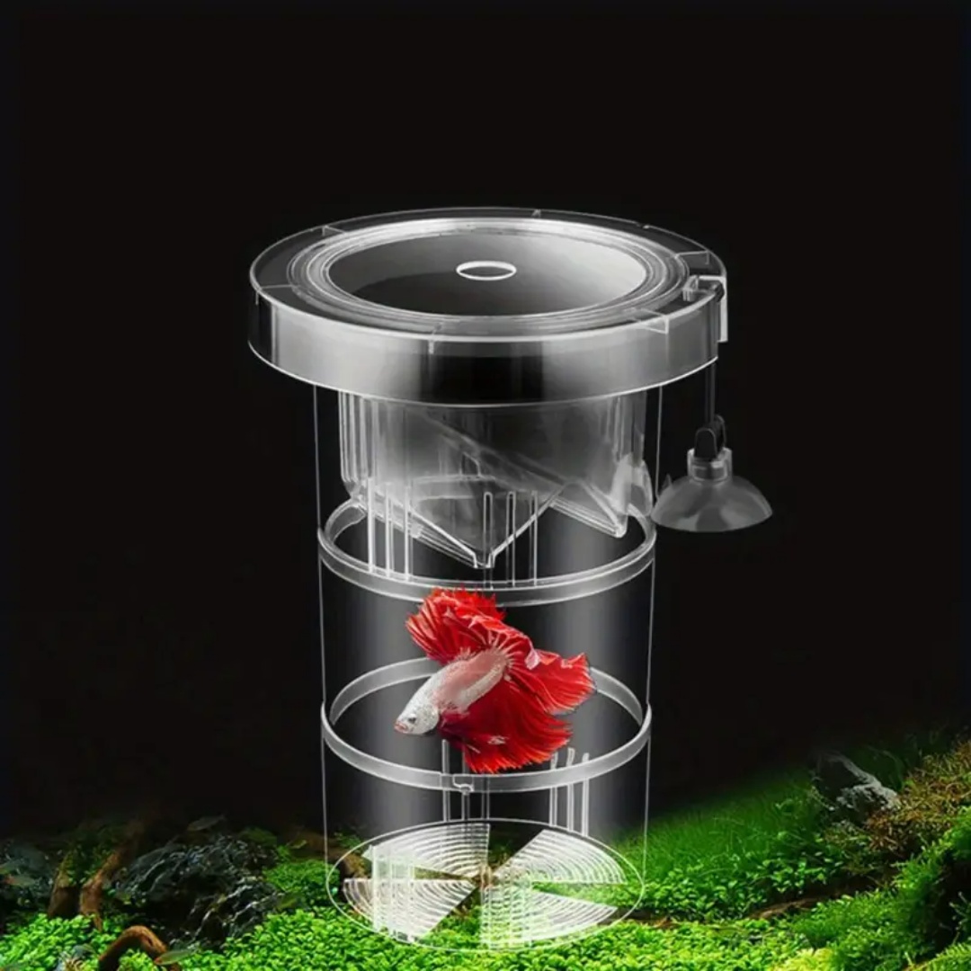Acrilico Galleggiante Allevame - Aquarium Fish Jar recensione e prezzo