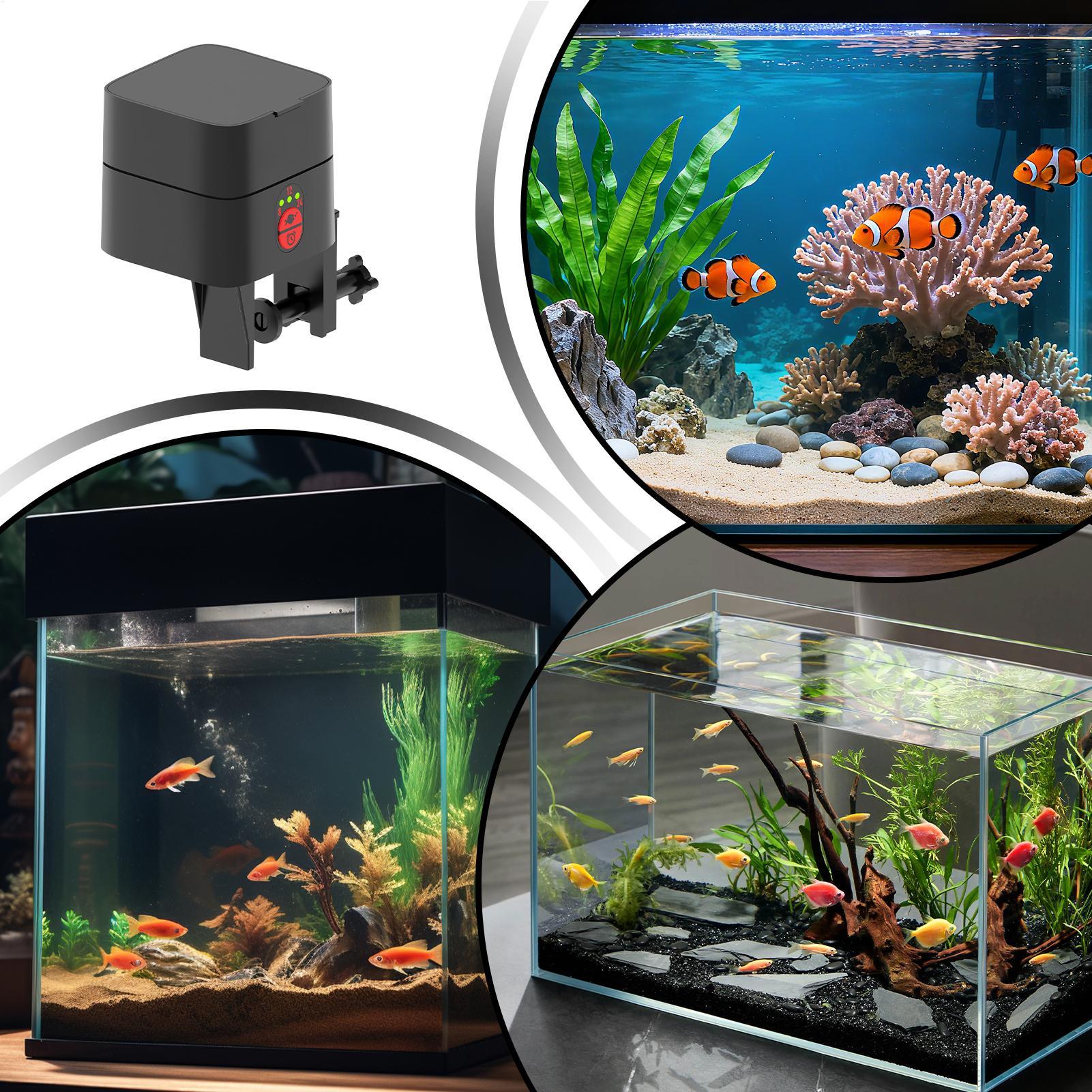 Distributore Automatico di Cib - Aquarium Fish Jar recensione e prezzo