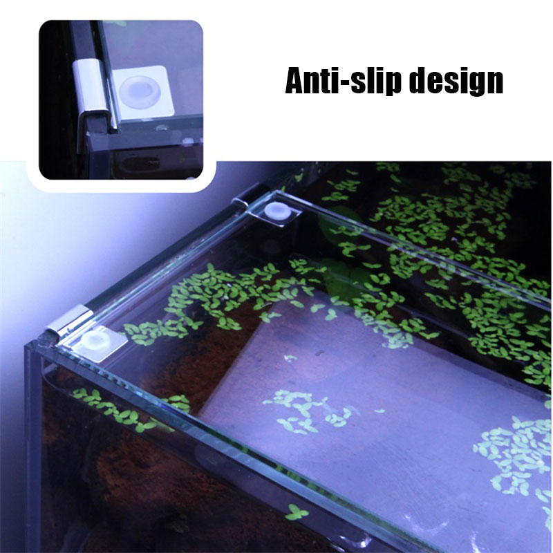 4 pezzi in acciaio inossidabil - Aquarium Fish Quarantine recensione e prezzo