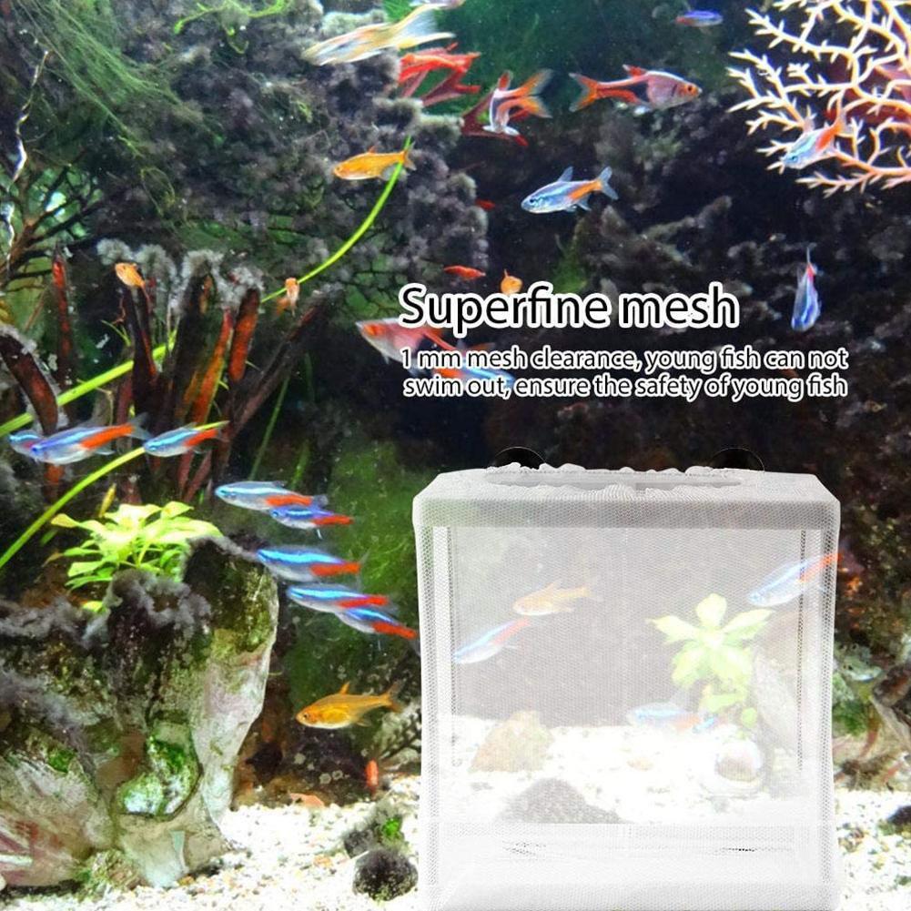 Scatola isolante per incubazio - Aquarium Fish Net recensione e prezzo