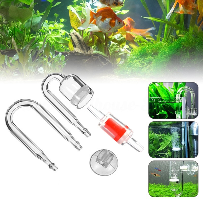Set da 4 pezzi diffusore di CO - Aquarium Fish Quarantine recensione e prezzo