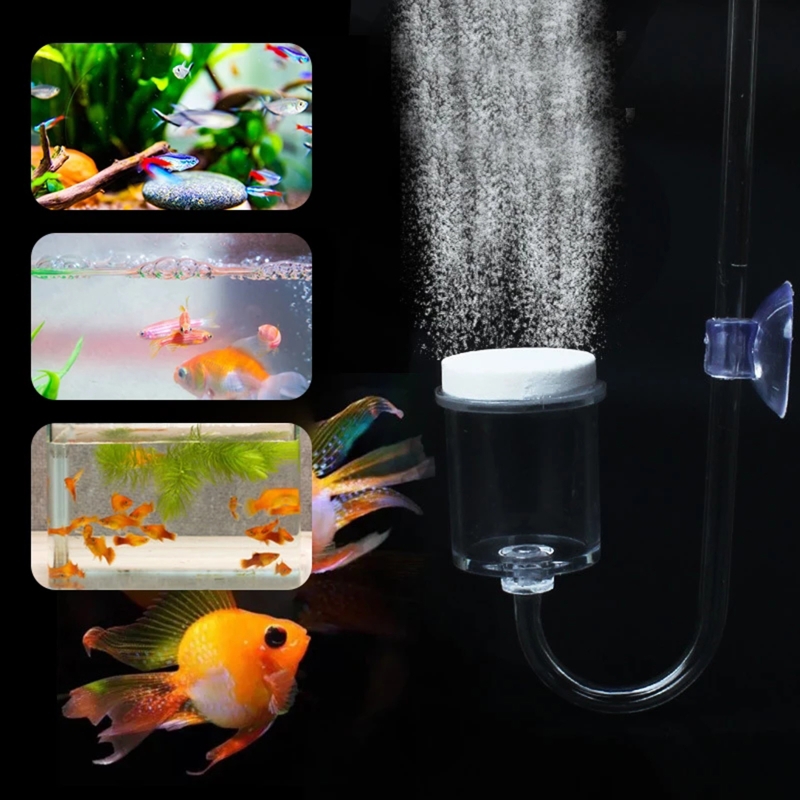 Set da 4 pezzi diffusore di CO - Aquarium Fish Quarantine recensione e prezzo