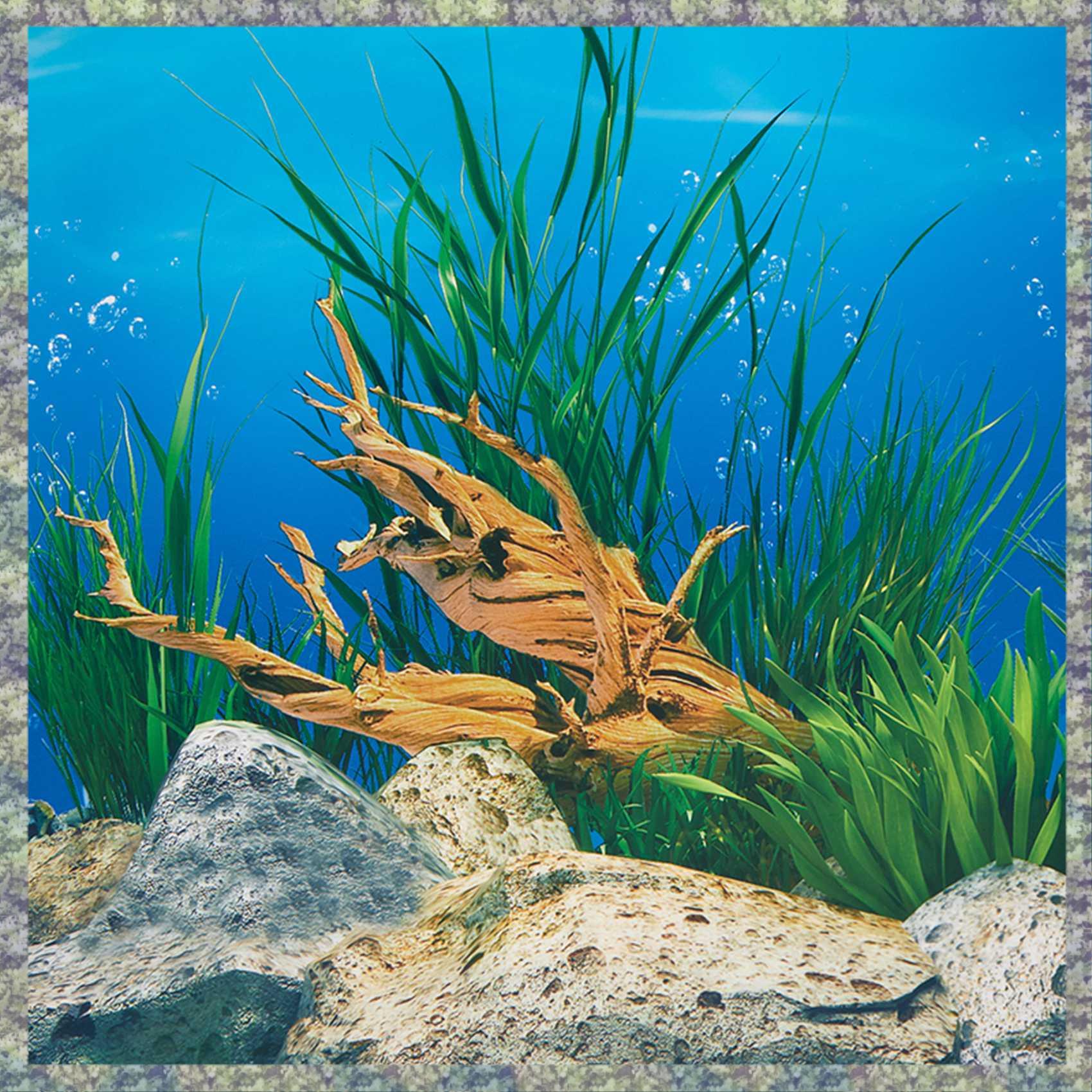 WON Acquario Sfondo Carta Imma - Aquarium Fish Wallpaper Hd recensione e prezzo